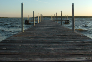 Fishing Guide Lake Delavan